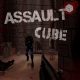 Assault Cube PC Full Español