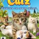 Catz PC Full Español