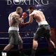 Real Boxing PC Full Español