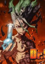 Dr. Stone Serie Completa Latino Mediafire