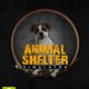 Animal Shelter PC Full Español