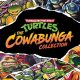 Teenage Mutant Ninja Turtles: The Cowabunga Collection PC Full Español