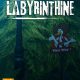 Labyrinthine PC Full Español