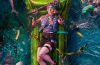 Dead Island 2 Ultimate Edition PC Full Español